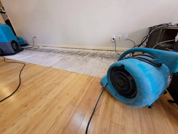 Reliable Basement Flood Cleanup contractor in Junction City, CA by Hirex Water Damage