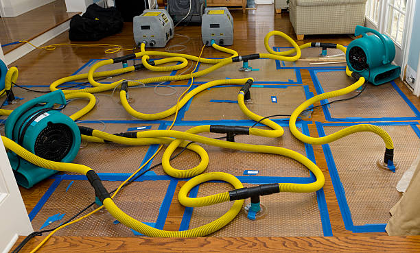 Professional Basement Flood Cleanup technician working in Junction City, CA